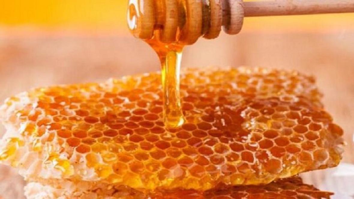 فراوری بیش از هزار تن عسل در مشهد
