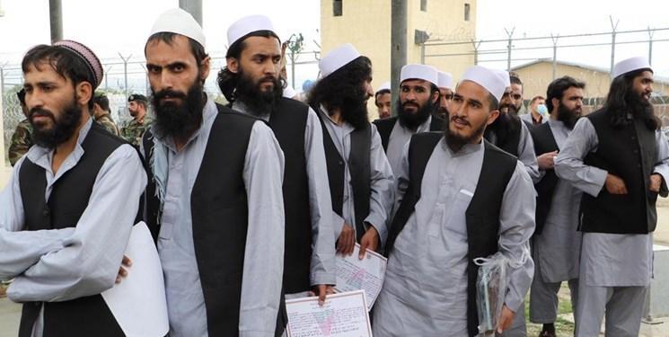 آزادی زندانیان طالبان از سوی دولت افغانستان متوقف شد