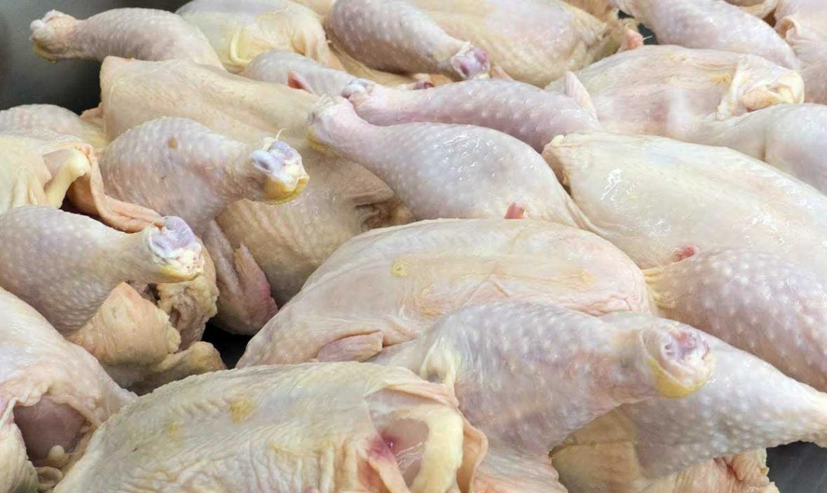 حذف عواض صادرات مرغ تا ابتدای خرداد