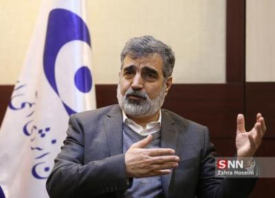 کمالوندی: تأخیر در لغو تحریم های ایران برای غربی ها زیان بیشتری خواهد داشت