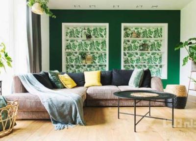 5 اشتباه رایج که گیاهان آپارتمانی را نابود می کند