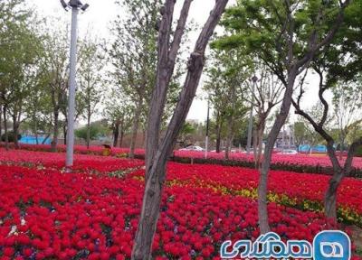 بوستان خواجوی کرمانی یکی از تفرجگاه های مرکز به شمار می رود